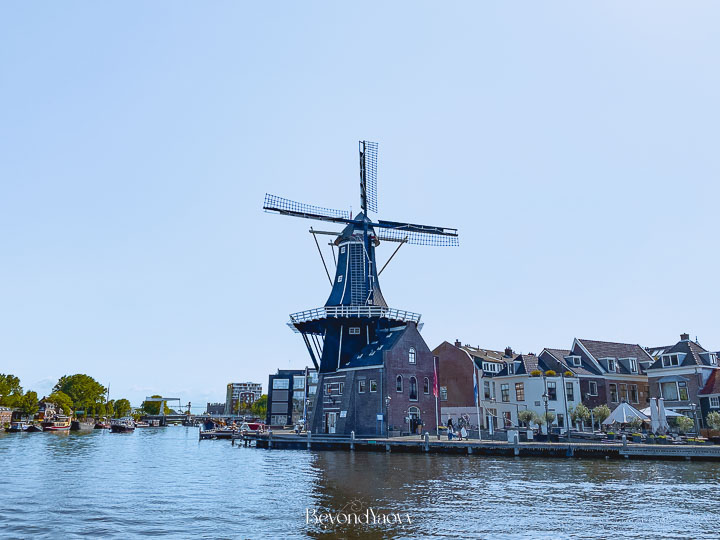 ด้านขวามือมองไปไกล ๆ คืออัมสเตอร์ดัมRich results on Google's SERP when searching for ‘Haarlem’, ‘เที่ยวฮาร์เลม (Haarlem) เนเธอร์แลนด์’, ‘เที่ยวฮาร์เลม’, ‘เมืองฮาร์เลม’, ‘ฮาร์เลม’, ‘เที่ยวเนเธอร์แลนด์’, ‘เที่ยวเนเธอร์แลนด์ด้วยตัวเอง’, ‘การเดินทางในเนเธอร์แลนด์’, ‘เนเธอร์แลนด์’, ‘วางแผนเที่ยวเนเธอร์แลนด์’, and ‘วางแผนด้วยตัวเอง’, 