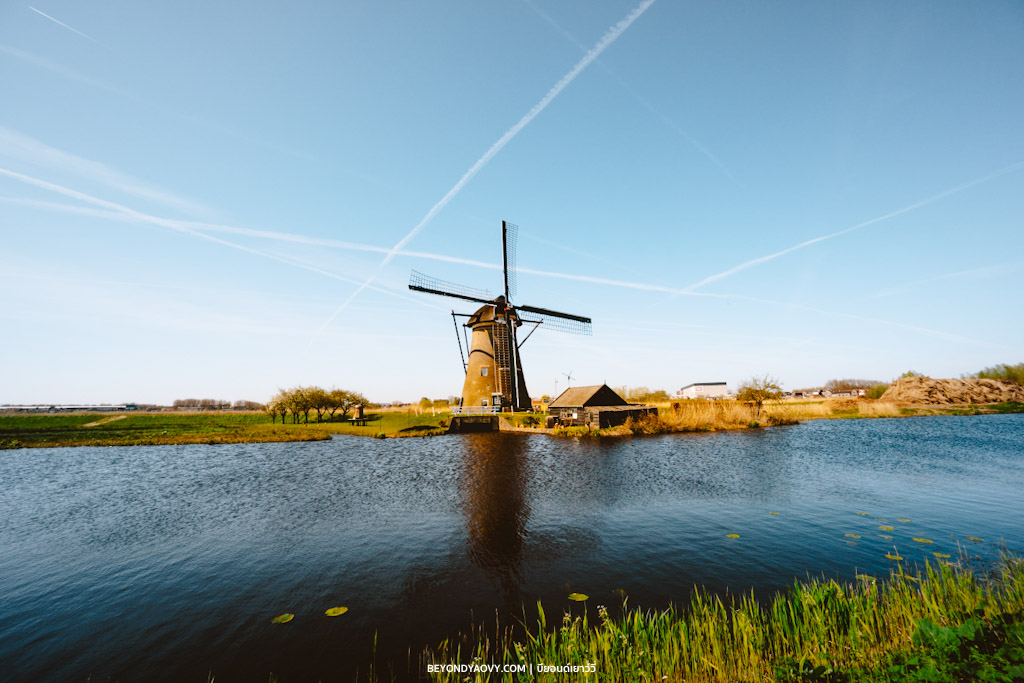 Rich results on Google's SERP when searching for ‘เที่ยวคินเดอร์ไดค์’, ‘Kinderdijk’, ‘คินเดอร์ไดค์’, ‘กังหันลมคินเดอร์ไดค์’, ‘กังหันลมเนเธอร์แลนด์’, ‘เดย์ทริปจากรอตเตอร์ดัม’, ‘ที่เที่ยวเนเธอร์แลนด์’, ‘เมืองน่าเที่ยวเนเธอร์แลนด์’, ‘วางแผนเที่ยวเนเธอร์แลนด์’, ‘เที่ยวเนเธอร์แลนด์’, and ‘เที่ยวเนเธอร์แลนด์ด้วยตัวเอง’ 