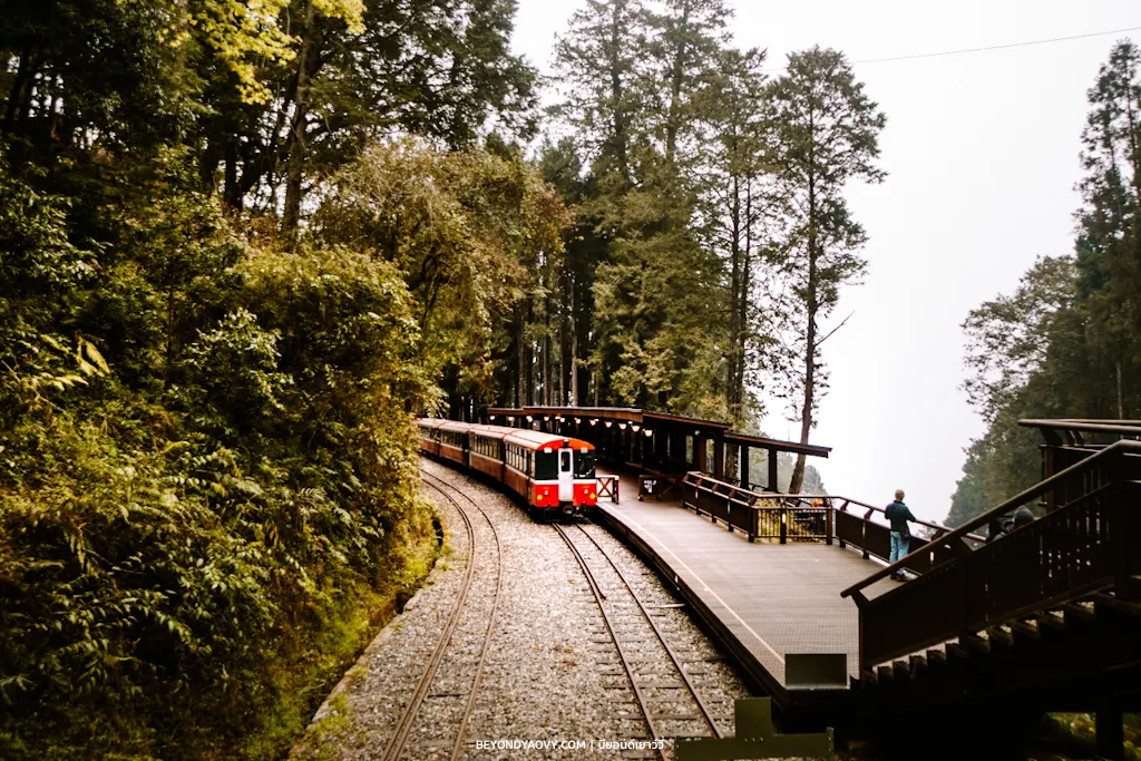 Rich results on Google's SERP when searching for 'รถไฟสายป่าอาลีซาน', 'สถานีเซินมู่', 'เที่ยวอาลีซาน', 'Alishan Forest Railway Shenmu Station', 'Shenmu Station', and 'Alishan Forest Railway’