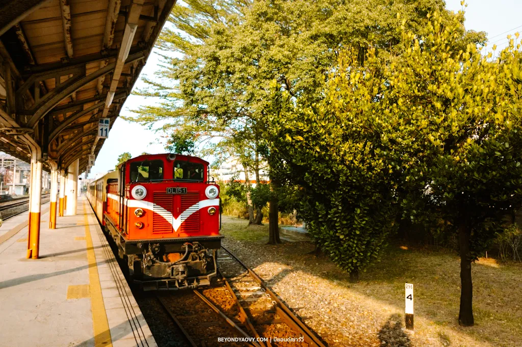 Rich results on Google's SERP when searching for 'รถไฟสายป่าอาลีซาน', 'วิธีเดินทางไปอาลีซาน', 'เจี้ยอี้ไปอาลีซาน', 'Alishan Forest Railway Chiayi Station', and 'Alishan Forest Railway’