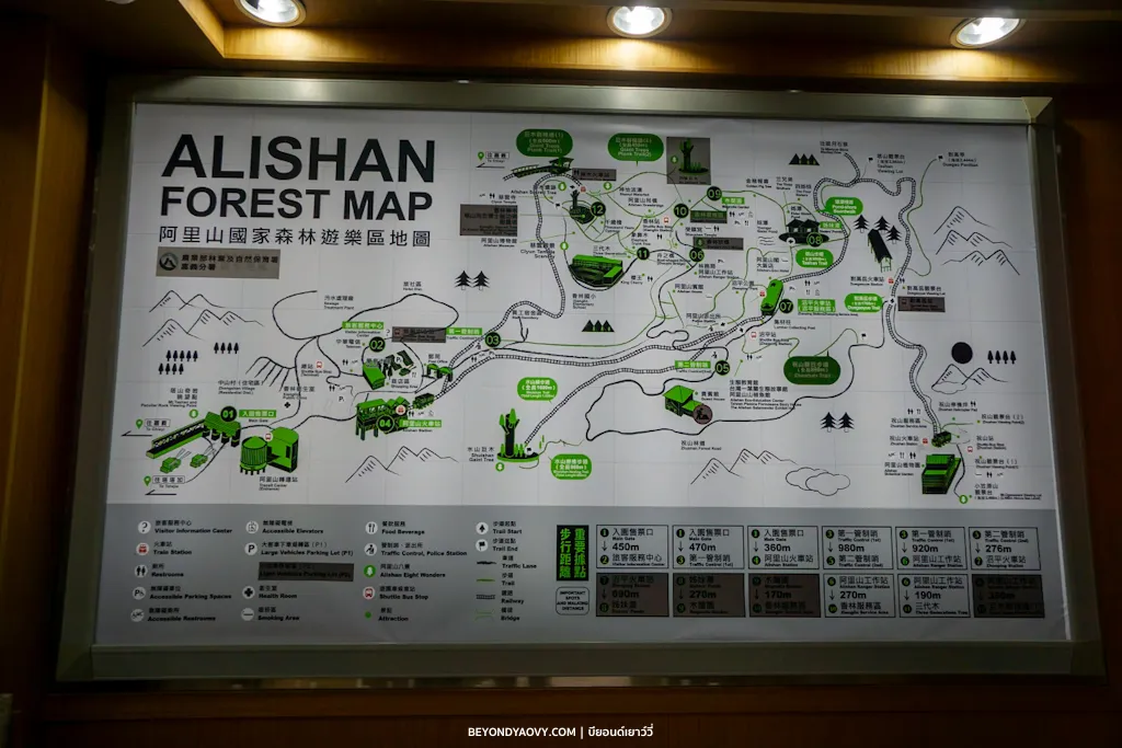 Rich results on Google's SERP when searching for 'เที่ยวอาลีซาน’, 'เที่ยวอาลีซาน ไต้หวัน', 'Alishan National Forest Recreation Area', 'Alishan Forest Map', and 'การเดินทางไปอาลีซาน'